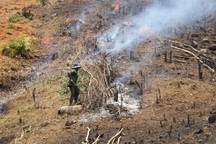 Buông lỏng quản lý dẫn đến suy giảm hơn 2.300ha rừng tự nhiên ở Đắk Lắk