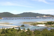 Nơi sắp thành đặc khu: Đại gia Hà Nội, Sài Gòn đua nhau “ôm tiền” đến buôn đất