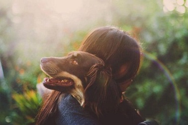 Bộ ảnh “cơn mưa tình yêu” của nhiếp ảnh gia gốc Việt gây sốt