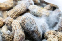 Không chỉ có rượu bia, bạn có thể mắc ung thư gan vì những yếu tố này