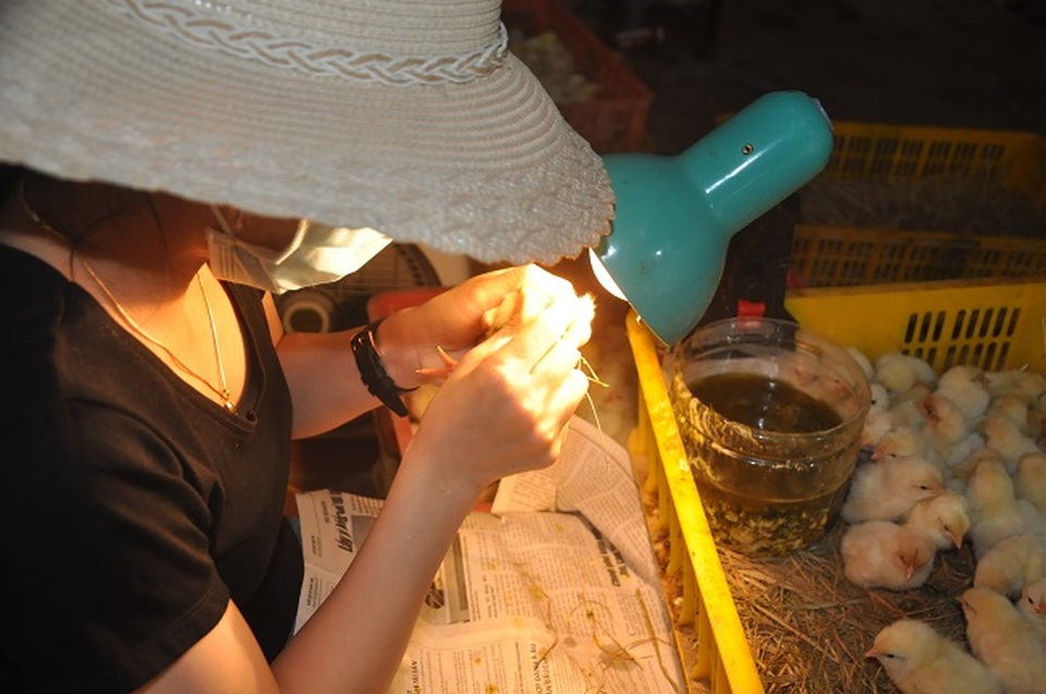 Nghề lạ mỗi ngày kiếm cả triệu đồng nhưng luôn khát người làm ở Hà Nội - 2 Nghề lạ mỗi ngày kiếm cả triệu đồng nhưng luôn khát người làm ở Hà Nội - 2