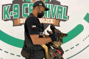 Đội "đặc nhiệm 4 chân" đánh hơi Covid-19