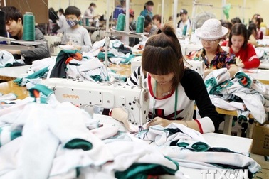 20 doanh nghiệp FDI bị kết luận chuyển giá hàng nghìn tỷ đồng