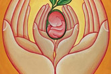 Những đứa trẻ bị tước quyền làm người 