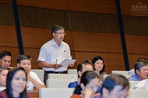 Đại biểu Quốc hội “mổ xẻ” trách nhiệm bồi thường sau vụ nước mắm asen