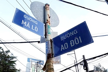 TPHCM phản hồi về đề xuất đổi tên đường Mã Lò, Chiến Lược