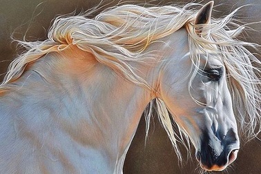 Năm Đinh Dậu 2017: Tuổi nào làm ăn khấm khá trong năm Gà?