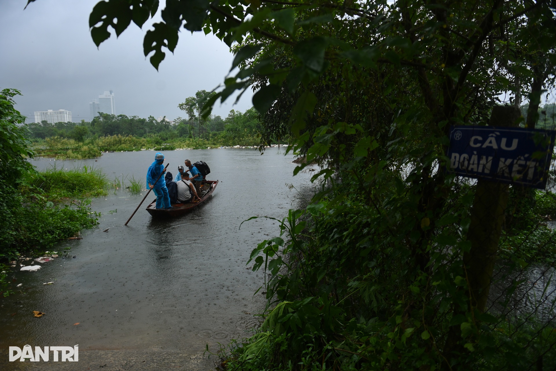 Nước sông Hồng lên cao, cô lập bãi giữa, ngập trắng hoa màu - 12
