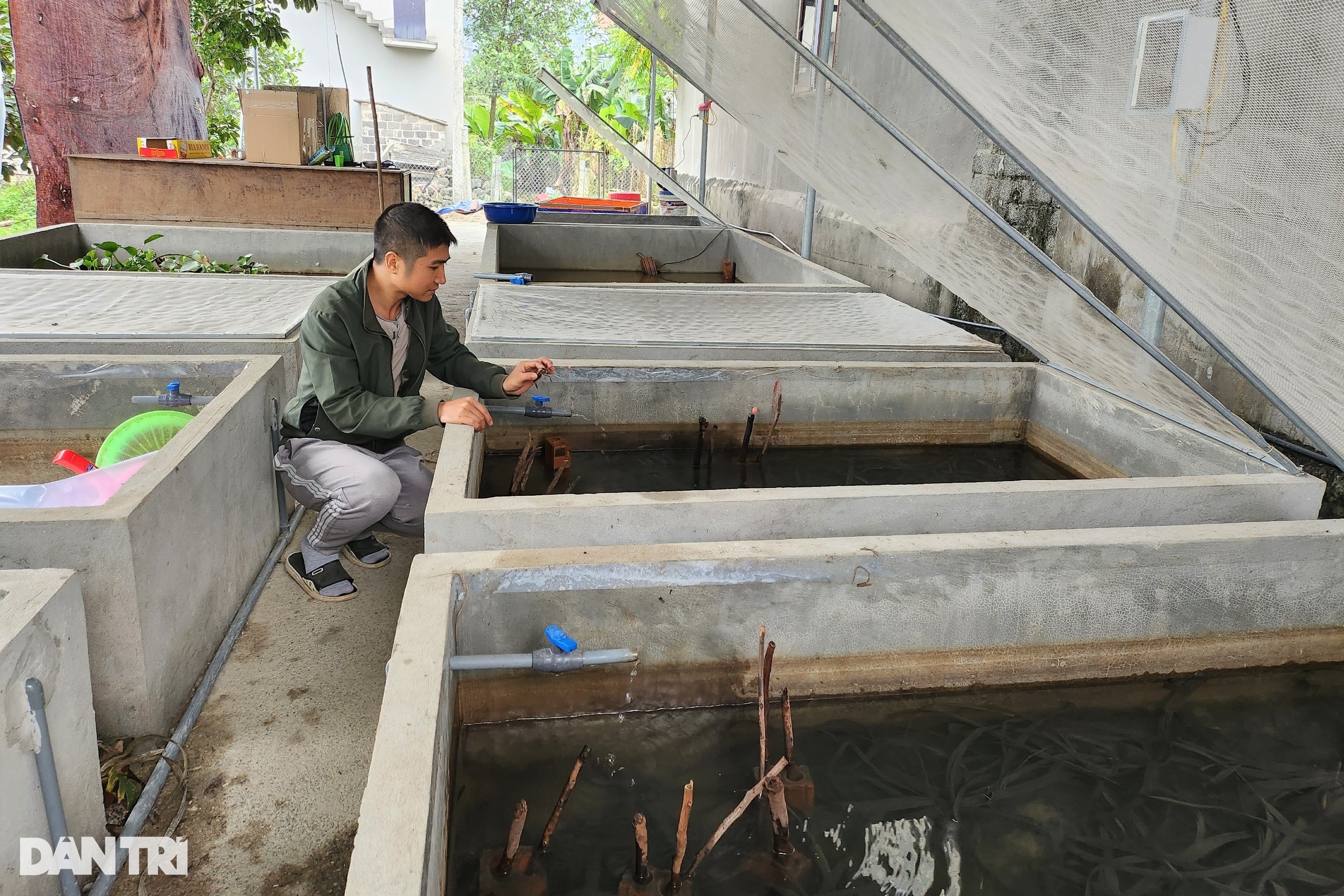 Bí quyết nuôi con chết đến đít còn cay qua mùa đông của ông chủ trẻ - 5 Bí quyết nuôi con chết đến đít còn cay qua mùa đông của ông chủ trẻ - 5
