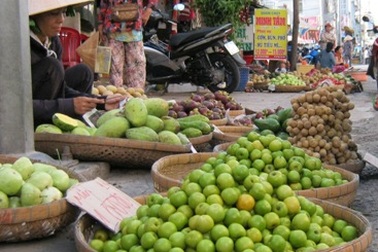 Thương quá… trái cây miền Tây