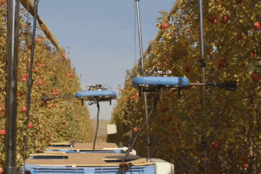 Ngắm robot thông minh hái táo thần tốc… mỗi giây một quả