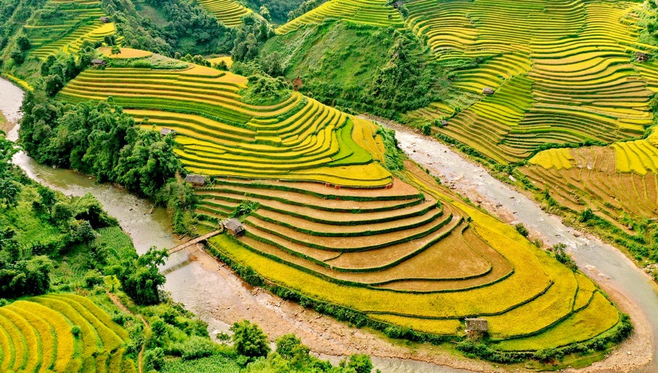 Ngắm nhìn những dải lụa vàng ở Mù Cang Chải - 13 Ngắm nhìn những dải lụa vàng ở Mù Cang Chải - 13