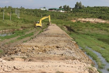 Xử phạt công ty nuôi heo gần 430 triệu đồng vì gây ô nhiễm môi trường