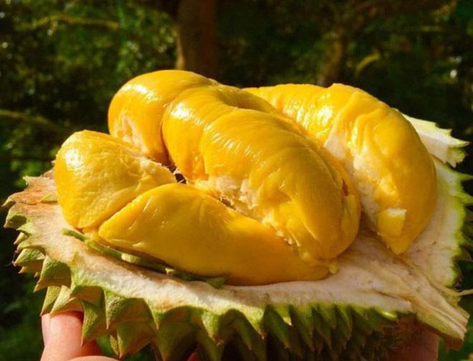 10 loại quả hiếm có khó tìm nhất thế giới nhưng Việt Nam đã có 4 trong số đó, còn mọc nhiều là đằng khác - Ảnh 6. 10 loại quả hiếm có khó tìm nhất thế giới nhưng Việt Nam đã có 4 trong số đó, còn mọc nhiều là đằng khác - Ảnh 6.
