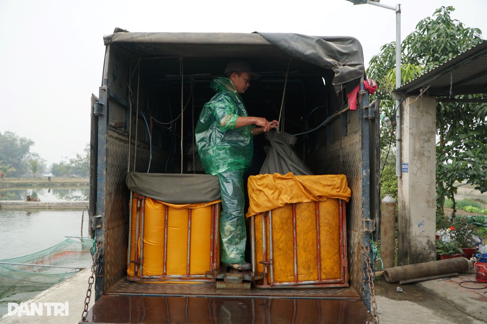 Πιάνοντας το μεγαλύτερο δίχτυ της χρονιάς, κερδίζοντας εκατοντάδες εκατομμύρια ντονγκ με την ευκαιρία του Φεστιβάλ Ong Cong Ong Tao - 9 Cất mẻ lưới lớn nhất năm, kiếm trăm triệu đồng dịp Tết ông Công ông Táo - 9