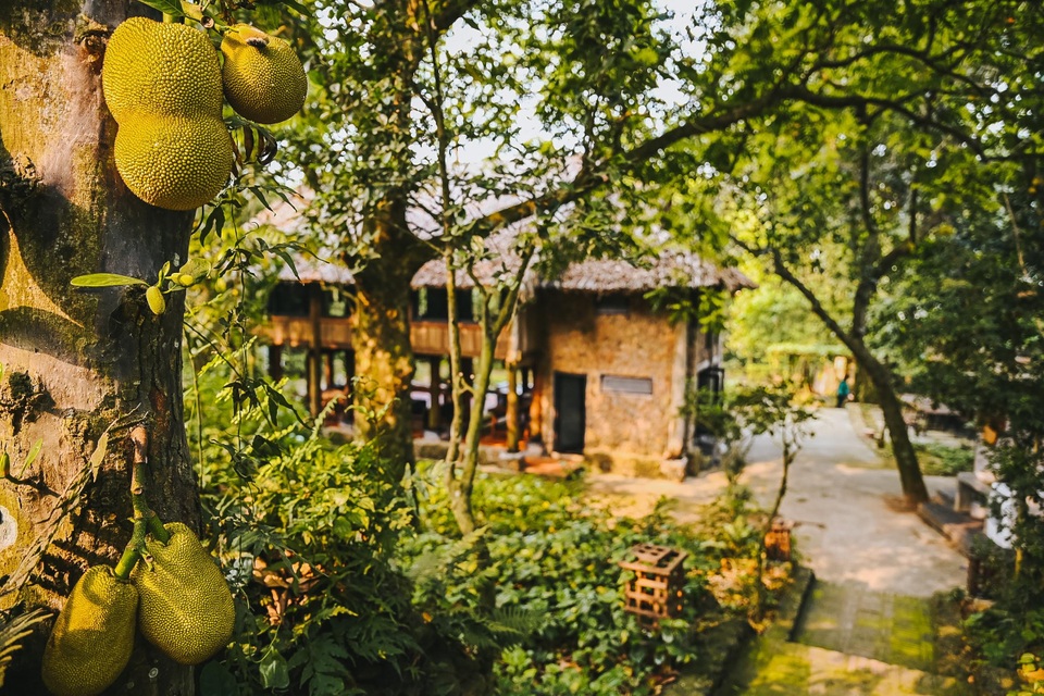 Ngôi nhà trong mơ trên đỉnh núi gần Hà Nội: Cá đầy ao, vườn đầy hoa trái - 4 Ngôi nhà trong mơ trên đỉnh núi gần Hà Nội: Cá đầy ao, vườn đầy hoa trái - 4