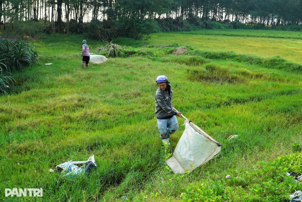 Hai vợ chồng 2 vợt, vượt 150km săn giặc cỏ kiếm tiền triệu - 1 Hai vợ chồng 2 vợt, vượt 150km săn giặc cỏ kiếm tiền triệu - 1
