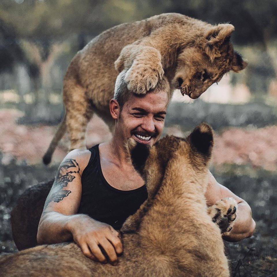 Cố vấn tài chính bỏ việc lương cao về sống cùng sư tử - 6 Cố vấn tài chính bỏ việc lương cao về sống cùng sư tử - 6