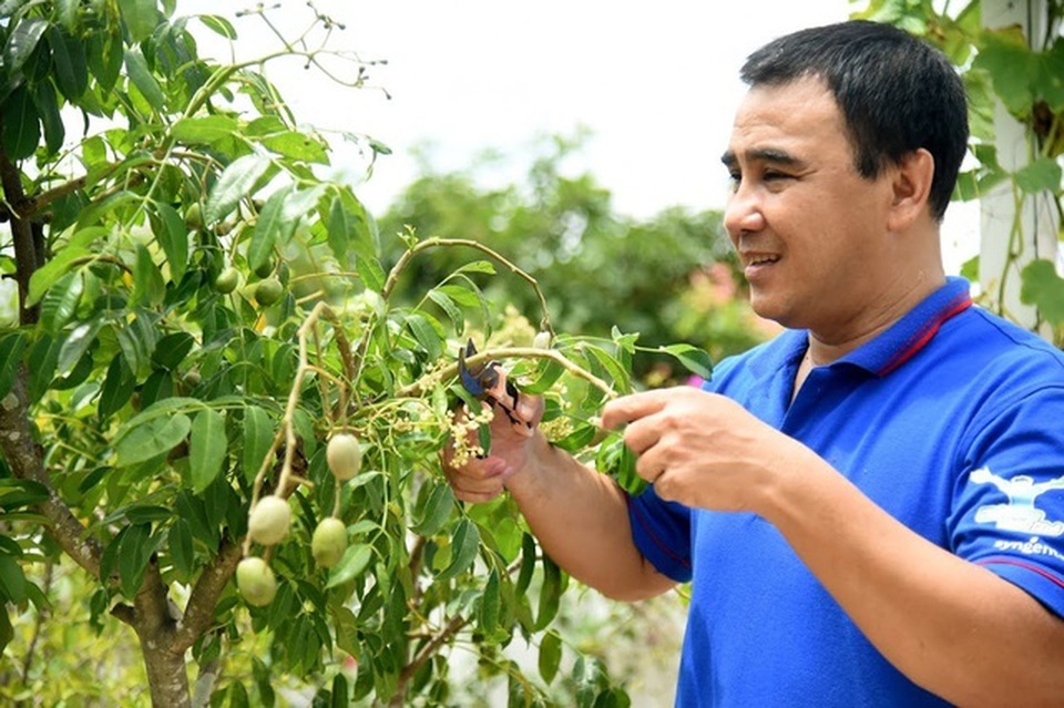 Đã mắt với khu vườn sai trĩu quả, ngập hoa của gia đình MC Quyền Linh - 4 Đã mắt với khu vườn sai trĩu quả, ngập hoa của gia đình MC Quyền Linh - 4
