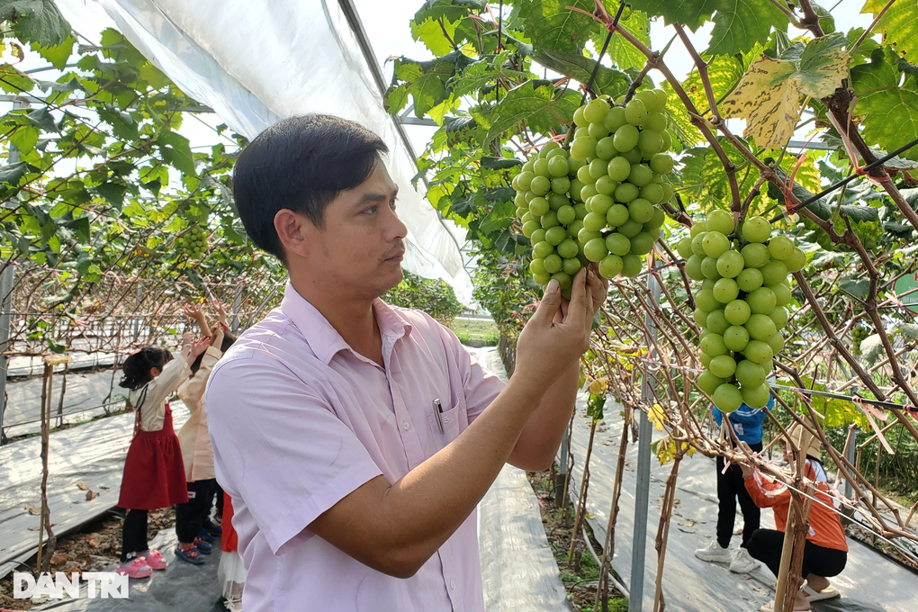 Người đàn ông bỏ lương cao, cãi trời thu nửa tỷ đồng mỗi năm - 1