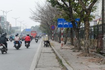 Bộ GTVT yêu cầu điều chỉnh biển báo giao thông hợp lý, khoa học