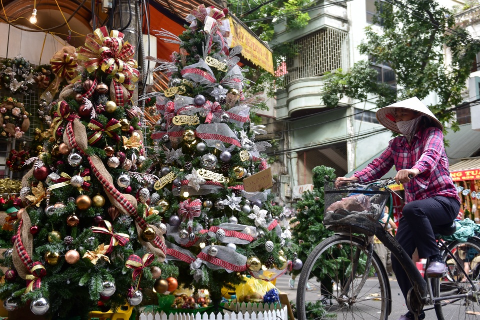 Cây thông Noel giá chục triệu đắt hàng trước lễ Giáng sinh - 1 Cây thông Noel giá chục triệu đắt hàng trước lễ Giáng sinh - 1