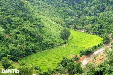 "Lá phổi xanh" nơi biên giới