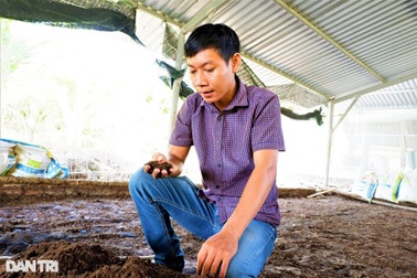 Chàng trai 9X nhẹ nhàng đút túi 300 triệu đồng/năm nhờ... nuôi trùn quế