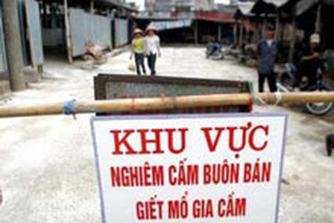 Căng thẳng chờ đại dịch