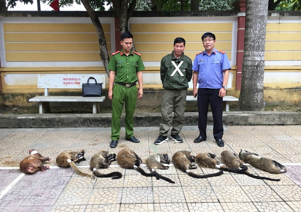 Người đàn ông bị bắt khi mua động vật hoang dã cho đám cưới của con - 1 Người đàn ông bị bắt khi mua động vật hoang dã cho đám cưới của con - 1