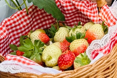 "Siêu chất" trẻ hóa cơ thể có nhiều trong 6 loại trái cây dưới đây