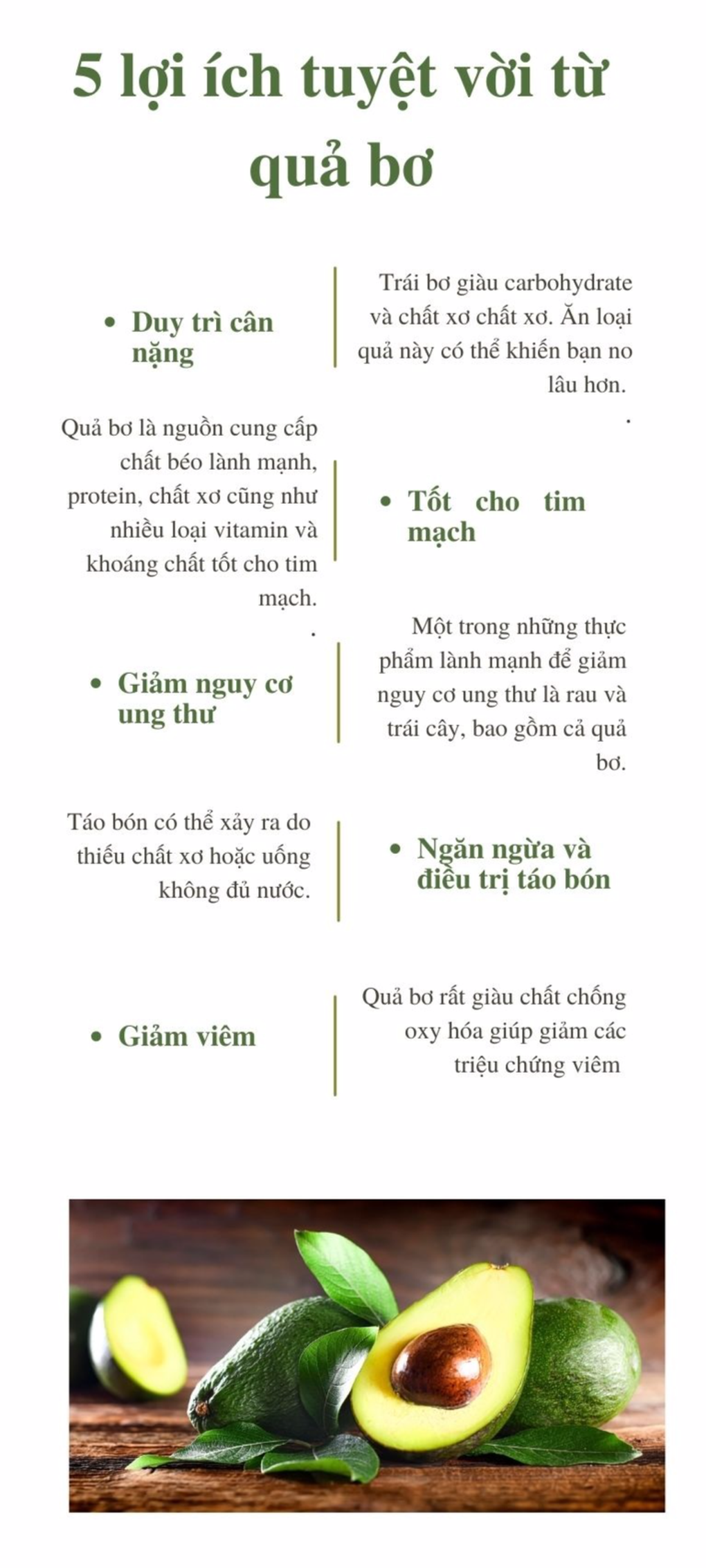 Mỗi ngày ăn một nửa quả bơ, cơ thể sẽ biết ơn bạn - 2