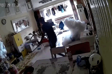 Xe điện phát nổ khi đang sạc pin trong nhà