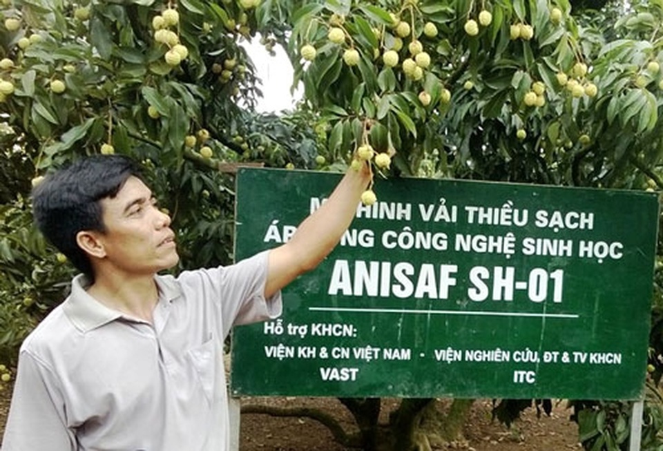 Sẵn sàng xuất khẩu nông sản chính ngạch sang Trung Quốc - 2 Sẵn sàng xuất khẩu nông sản chính ngạch sang Trung Quốc - 2