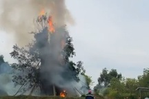 Cháy cây đa cổ thụ hơn 200 năm tuổi ở Quảng Ngãi