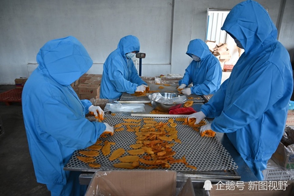Ôm nợ để làm giàu, người đàn ông kiếm hơn 3 tỷ đồng mỗi năm nhờ thứ... đầy ngoài đồng - 5 Ôm nợ để làm giàu, người đàn ông kiếm hơn 3 tỷ đồng mỗi năm nhờ thứ... đầy ngoài đồng - 5