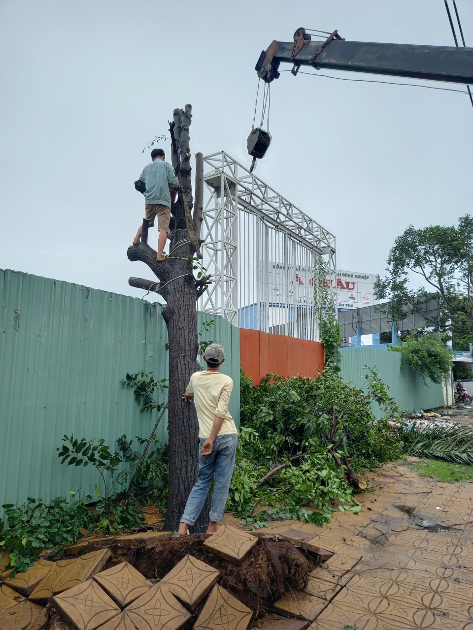 Mưa giông làm tốc mái, xiêu vẹo 17 căn nhà, bật gốc nhiều cây xanh - 7 Mưa giông làm tốc mái, xiêu vẹo 17 căn nhà, bật gốc nhiều cây xanh - 7
