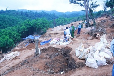 Chủ hầm vàng có 2 phu vàng tử nạn lĩnh án