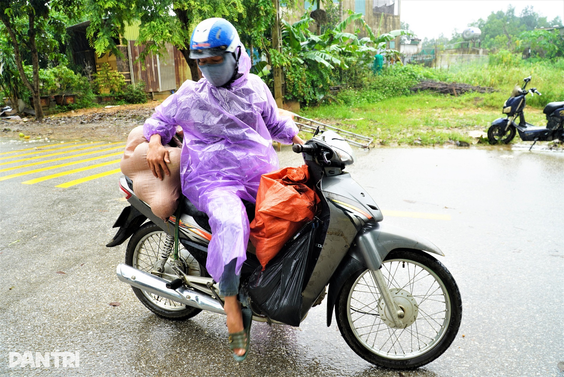 Nông dân đội mưa bão Nongfa thu hoạch đệ nhất danh quả chạy lũ - 10 Nông dân đội mưa bão Nongfa thu hoạch đệ nhất danh quả chạy lũ - 10