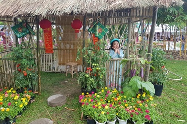 Nha Trang: Công viên bờ biển ngập sắc hoa, người dân náo nức du xuân sớm