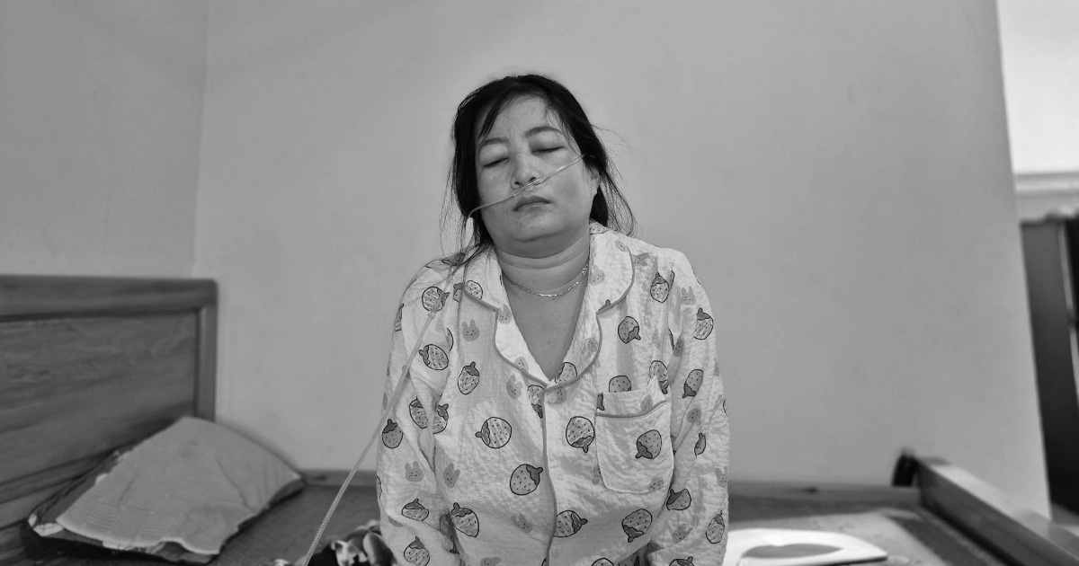dantri.com.vn