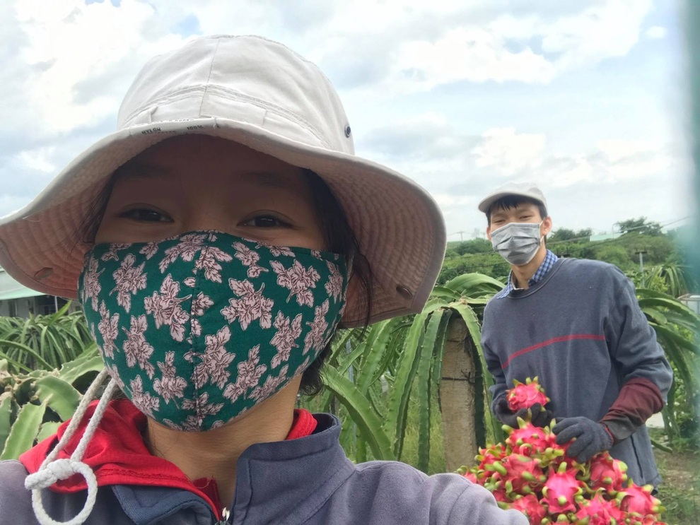 Về quê tránh dịch, hai chị em ở Đồng Nai theo cha đi làm thuê - 1