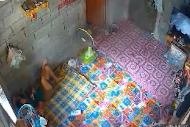 Kinh hãi khoảnh khắc rắn hổ mang hung hãn lao về phía người phụ nữ