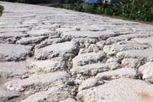 Đê hữu sông Hồng bị băm nát, sụt lún nghiêm trọng!