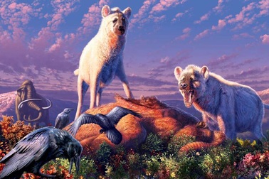 Linh cẩu đã xuất hiện ở… Bắc Cực trong Kỷ băng hà cuối cùng