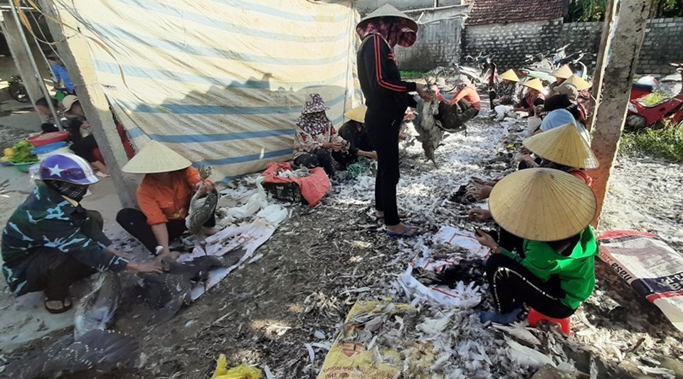 Chim trời bán đầy ngoài chợ, mua dễ như... mớ rau - 8 Chim trời bán đầy ngoài chợ, mua dễ như... mớ rau - 8