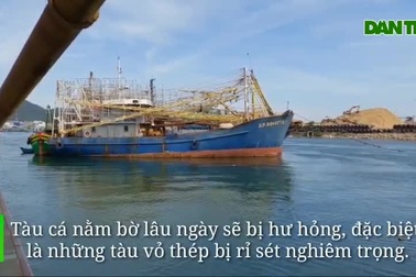 Giá xăng dầu giảm nhỏ giọt, ngư dân Bình Định chật vật bám biển