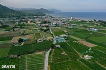 12.390 tỷ đồng di dân tái định cư làm dự án điện hạt nhân Ninh Thuận 1