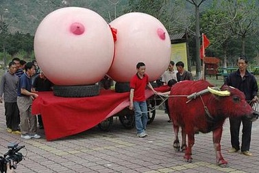 Những hình ảnh ấn tượng trong tuần