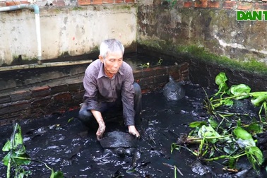 Loài cua lạ mỗi năm một con chỉ đẻ 40 trứng, cho lãi trên 10 triệu đồng